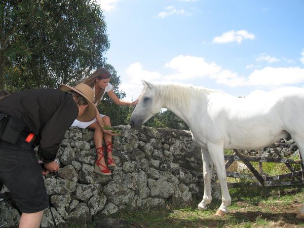 New Zealand — talent scene with horse