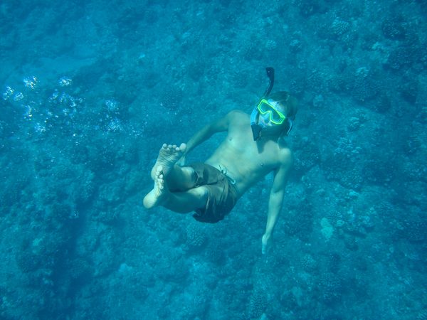 Underwater snorkeler over coral reef, Hawaii