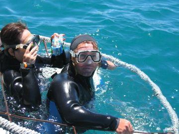 Divers prepping in wetsuits, South Africa