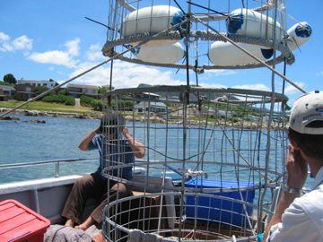 Shark cage setup on boat, South Africa